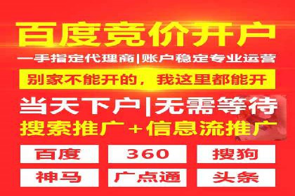 行业领先！专业SEM托管的成功实践案例